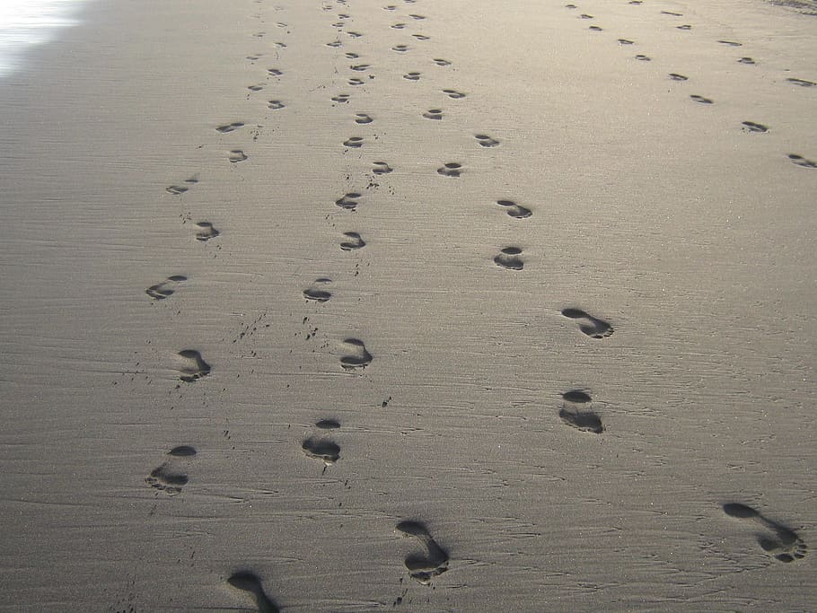 footprints, sand, beach, footprint, high angle view, land, nature, day, print, track - imprint