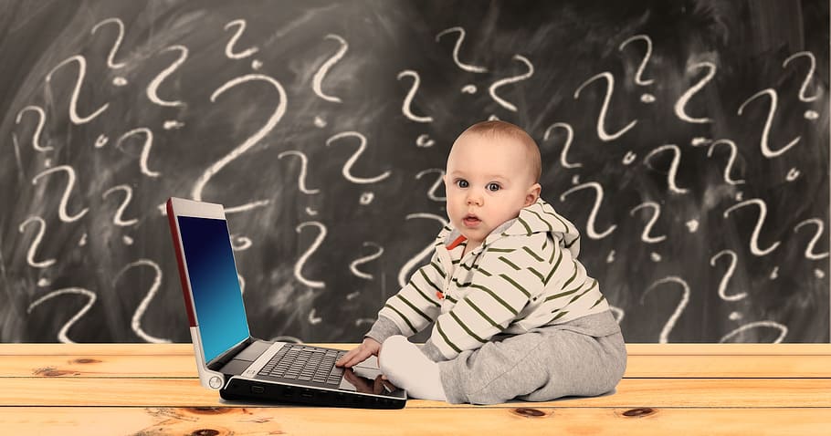 niño pequeño, vistiendo, sudadera con capucha, gris, pantalones, sentado, al lado, computadora portátil, bebé, aprender