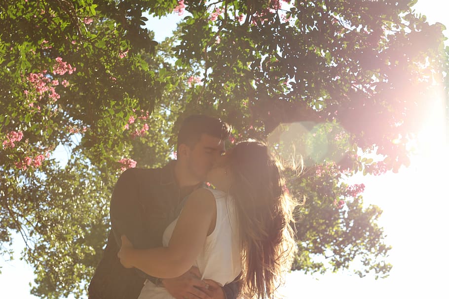 couple, kissing, tree, romance, man, woman, young, love, kiss, romantic