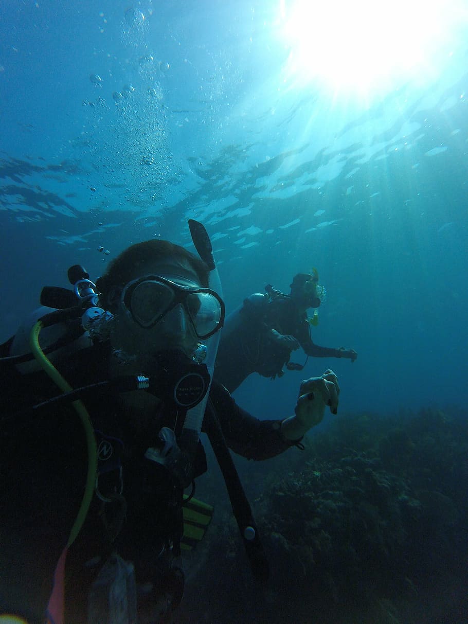 diving, mar, divers, cylinder, dual system, buddy, casal, underwater, sea, undersea
