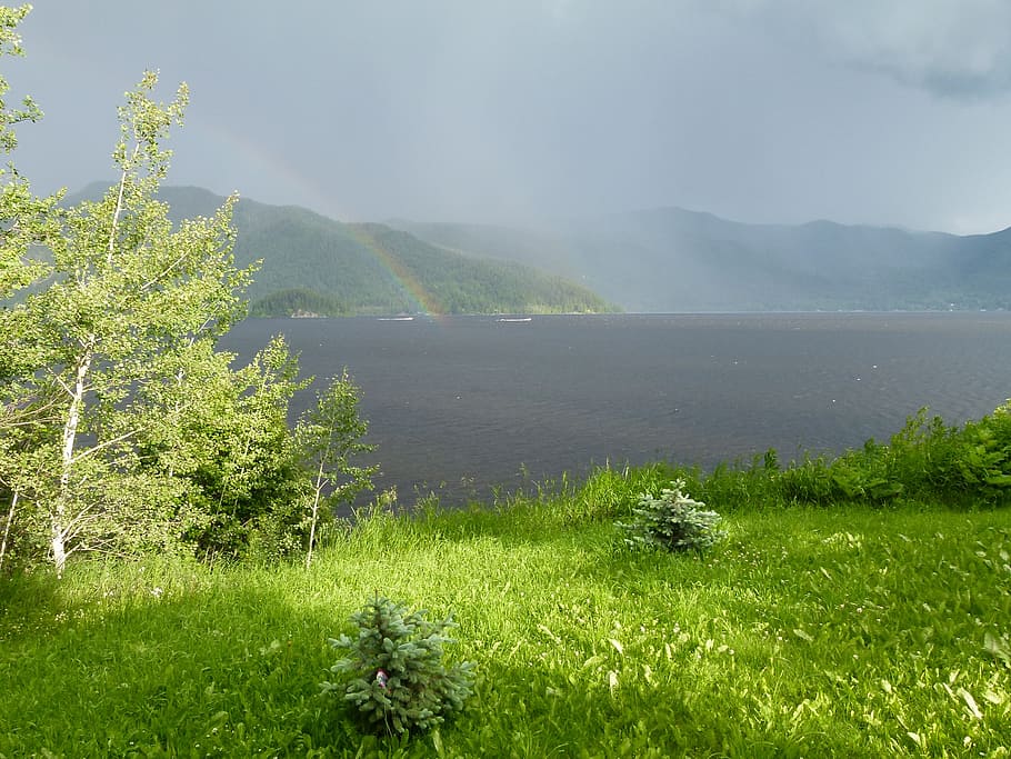 body, water, green, grasses, thunderstorm, rain, rainbow, canim lake, british columbia, canada