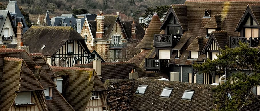 Árbol al lado de la casa, Deauville, Francia, techos, tejas, techos de tejas, casa de madera, agua, arquitectura, día
