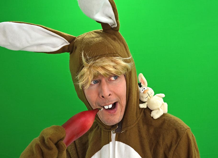 Easter Bunny, Hare, Easter Eggs, easter, carrot, spring, greenbox, hare costume, easter egg, happy easter