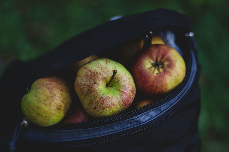 maçãs na bolsa, maduro, maçãs, preto, bolsa, frutas, comida, saudável, almoço, lancheira