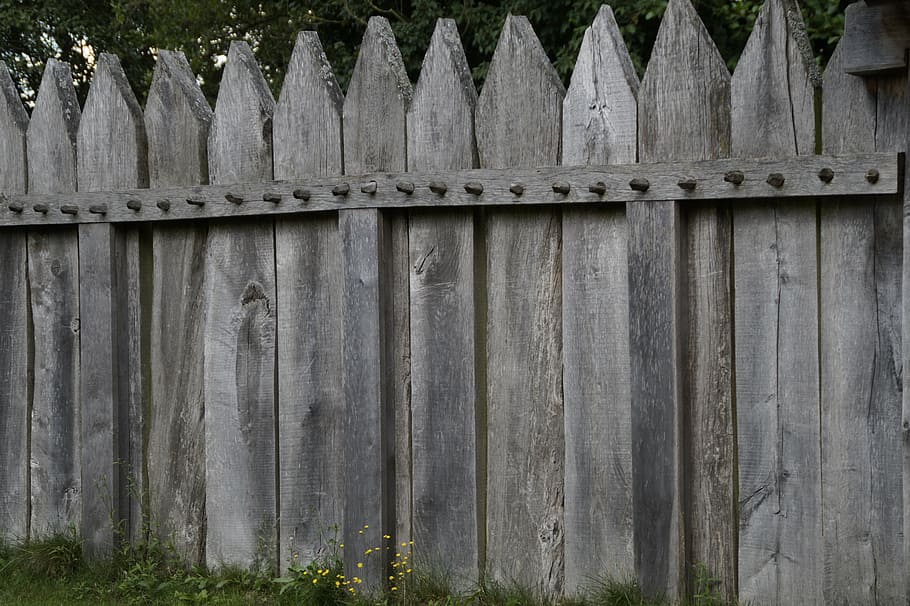 palisade, fence, boards, fence slats, wood fence, garden fence, paling, limit, demarcation, wood