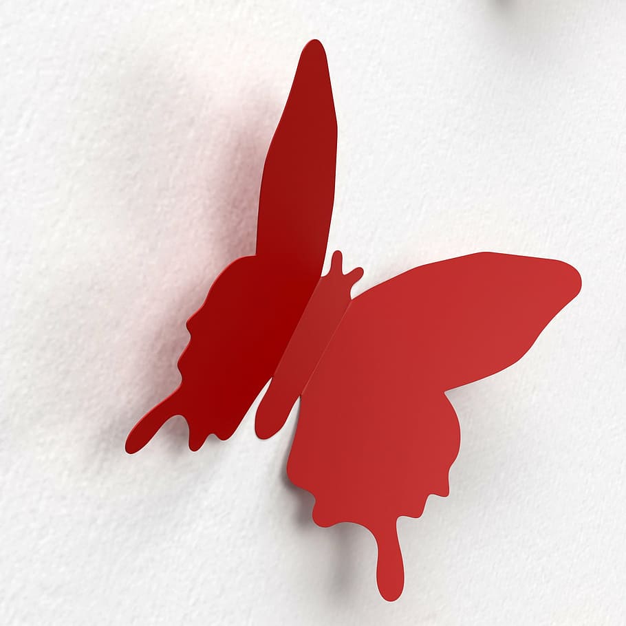 butterfly, wall, decoration, color, paper decoration, colorful, pleasure, sticker, red, studio shot