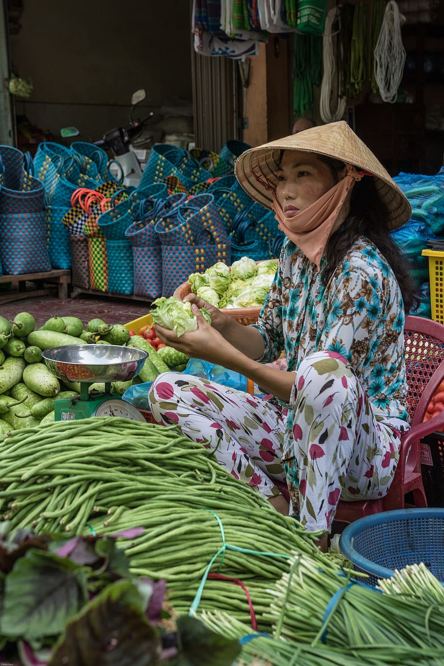 woman, sitting, holding, cabbage, vietnam, market, asia, vietnamese woman, vegetables, food
