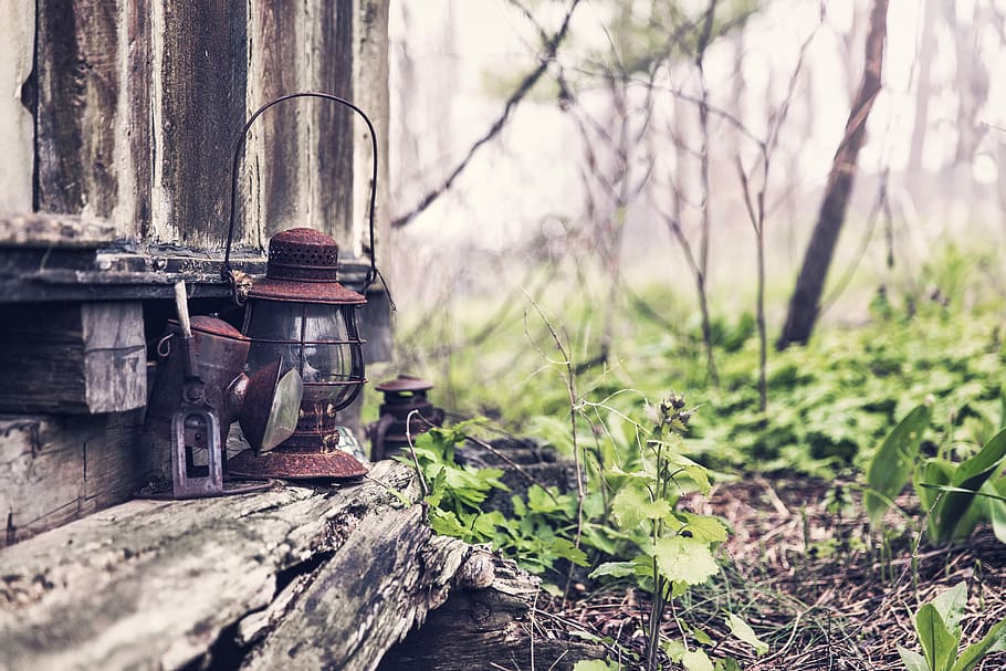 photography, two, brown, lanterns, brow, gray, log, nature, object, lazy
