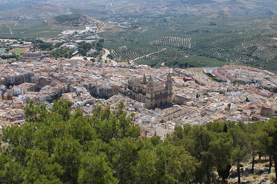jaen, andaluzia, espanha, catedral, jaén, céu, oliveiras, paisagem, arquitetura, antigo