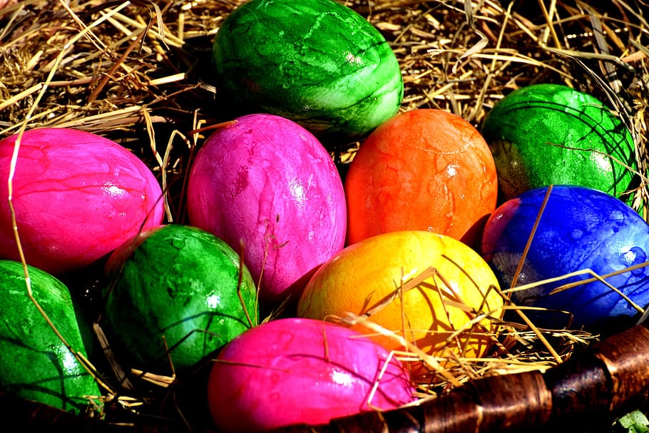 egg, colored, colorful, easter, easter eggs, easter nest, happy easter, colorful eggs, boiled eggs, colored eggs