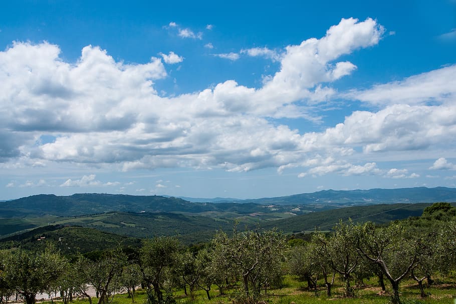 tuscany, landscape, italy, panorama, sky, nature, hill, clouds, olive grove, trees