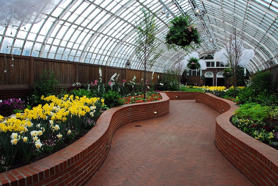 Phillips, Conservatory, Pittsburg, Path, phillips conservatory, flowers, greenhouse, plant, flower, botany