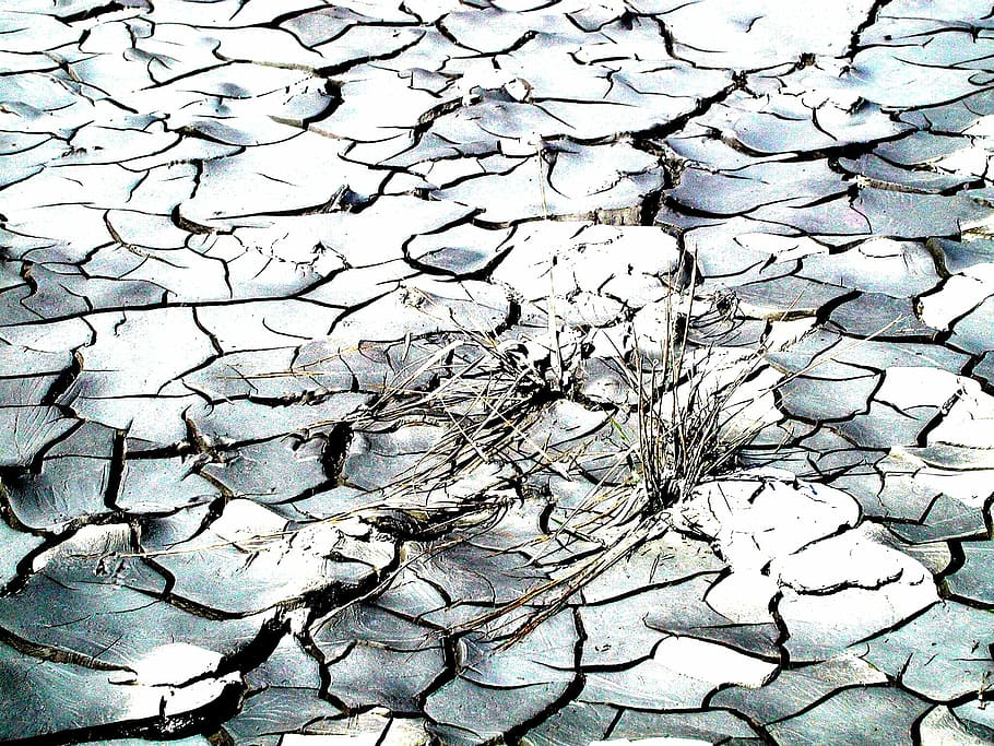 Nature, Drought, Cracks, Without Water, backgrounds, abstract, pattern, textured, full frame, day