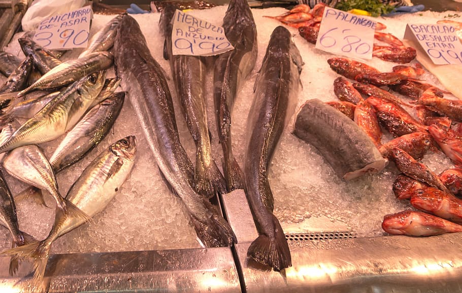 fish, fish shop, market, hake, red mullet, sardines, ice, buy, sell, food