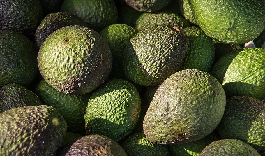 avocado fruit lot, hass avocado, avocados, fruit, green, harvest, picked, fresh, food and drink, food