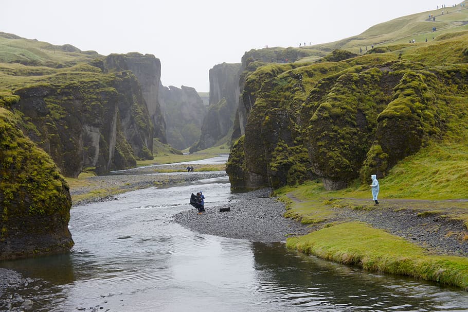 iceland, canyon, steep coast, water, nature, scenics - nature, beauty in nature, plant, solid, rock