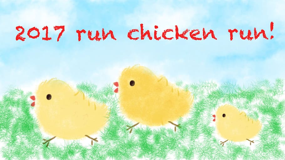 Ayam, Doodle, Kartun, Hen, burung, kuning, burung muda, ayam - burung, tidak ada orang, merah