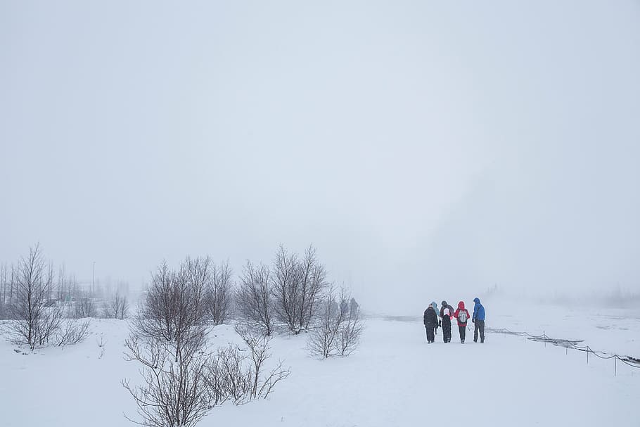 grupo, quatro, pessoas, andando, neve, campo, dia, homens, conversando, amigos