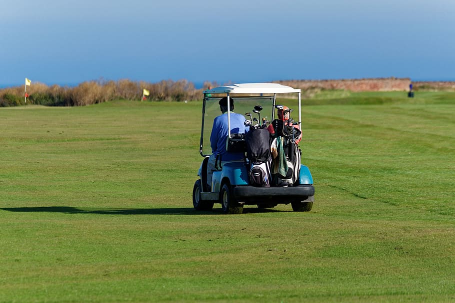 man, riding, golf cart, golf buggy, golfers, buggy, men, people, golf, grass