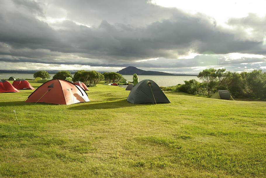 four, red, one, green, tent setups, grass field, iceland, lake myvatn, camping, grass