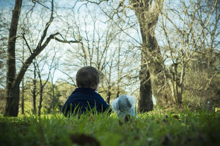 child, park, lawn, montevideo, uruguay, teddy, tender, toy, rear view, tree
