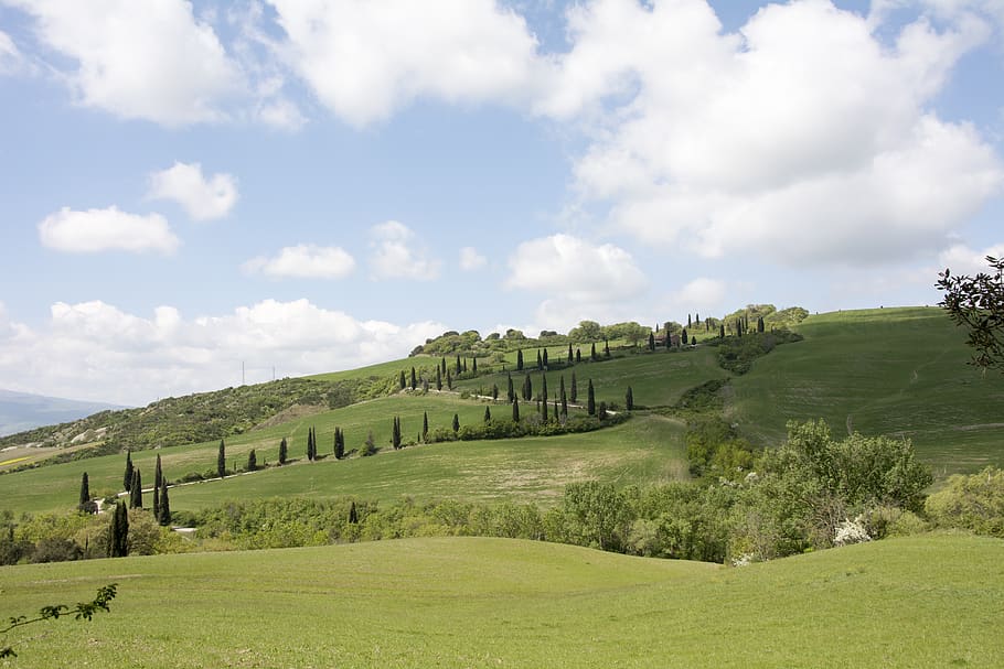 campaign, tuscany, italy, green, landscape, cloud - sky, sky, tranquil scene, green color, scenics - nature