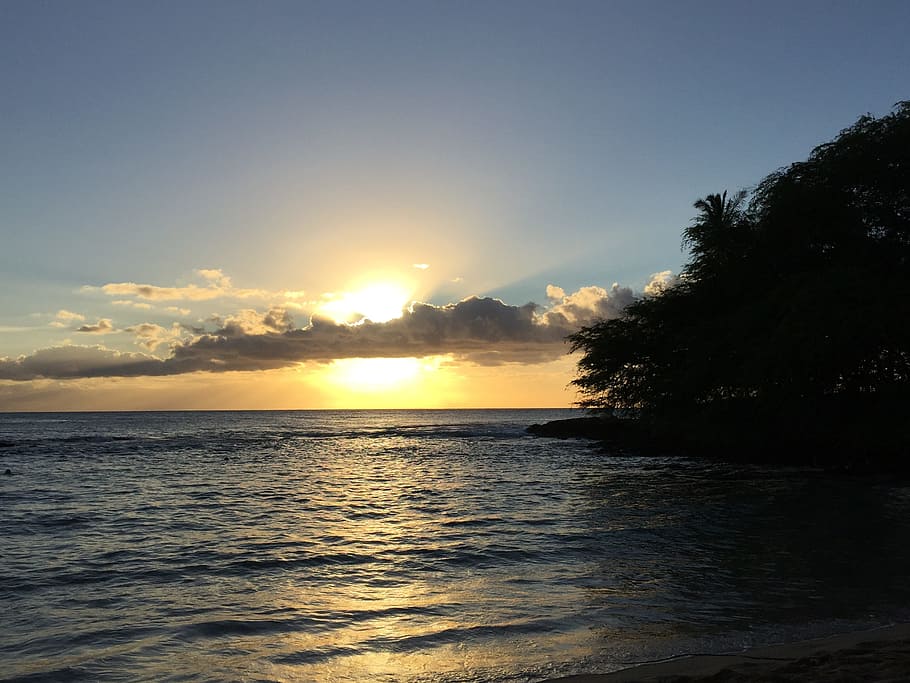 hawai, cala paridise, puesta de sol, cielo, agua, belleza en la naturaleza, tranquilidad, pintorescos - naturaleza, escena tranquila, árbol