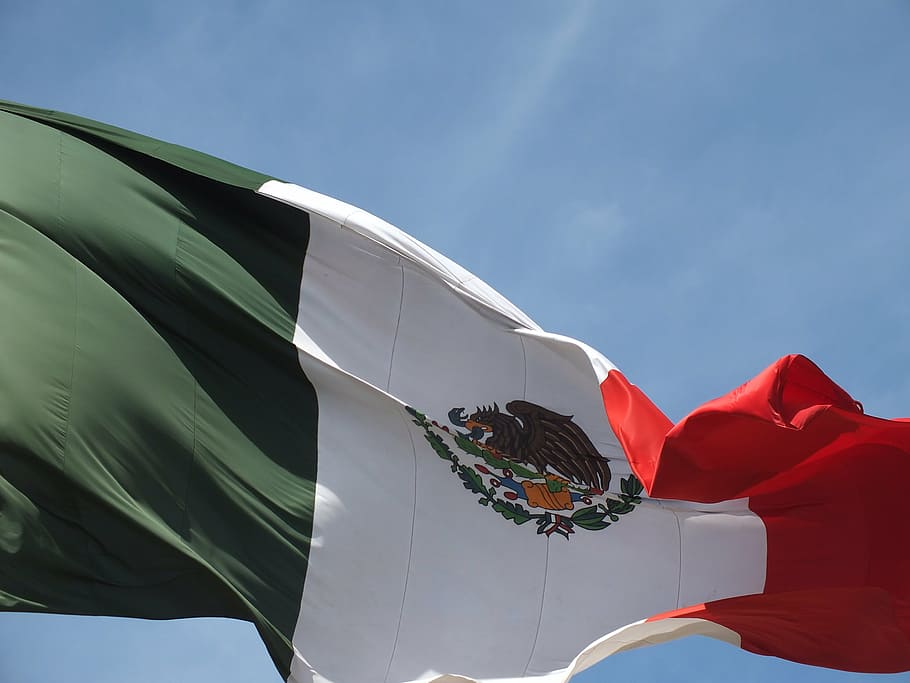 fotografía de primer plano, verde, blanco, rojo, bandera, México, cielo, bandera mexicana, escudo de armas, vista de ángulo bajo