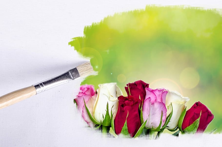 red, pink, white, roses painting, white rose, painting, paintbrush, outdoor, flower, flowers