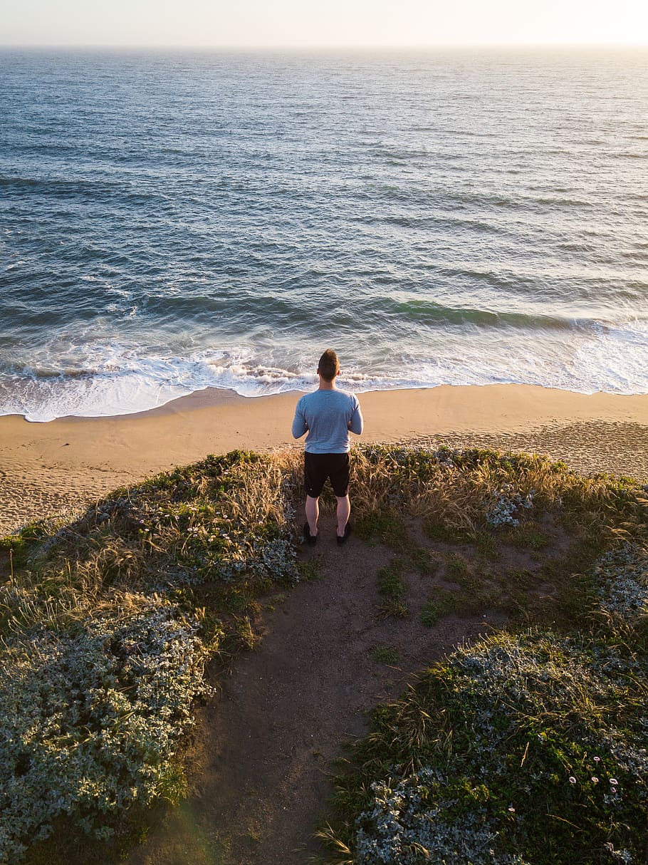 man, beach, back, male, person, looking, isolated, ocean, coast, alone