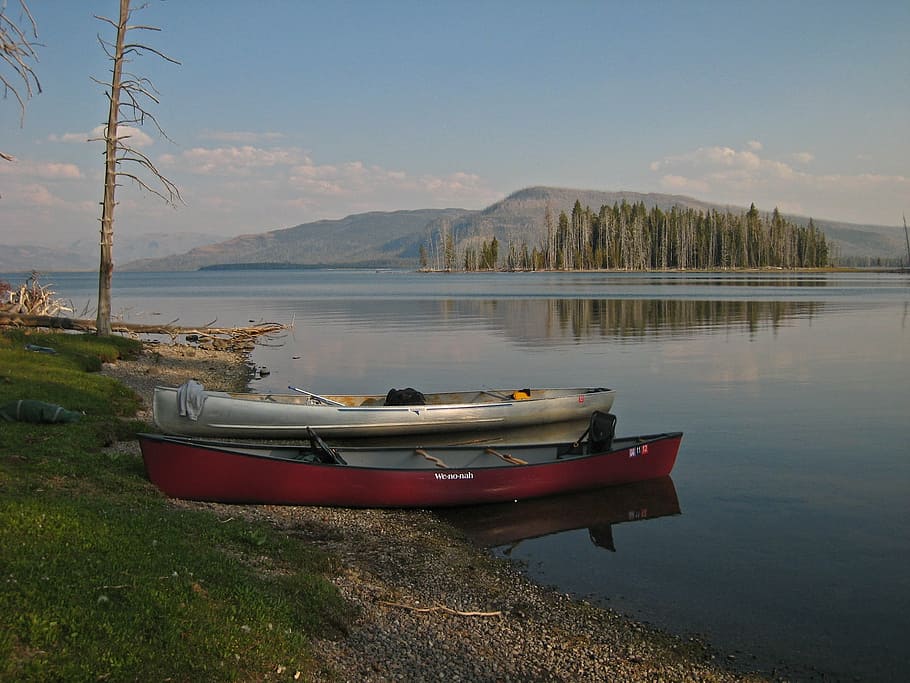 gris, lancha rápida, cuerpo, agua, canoas, varado, lago, paisaje, escénico, recreación