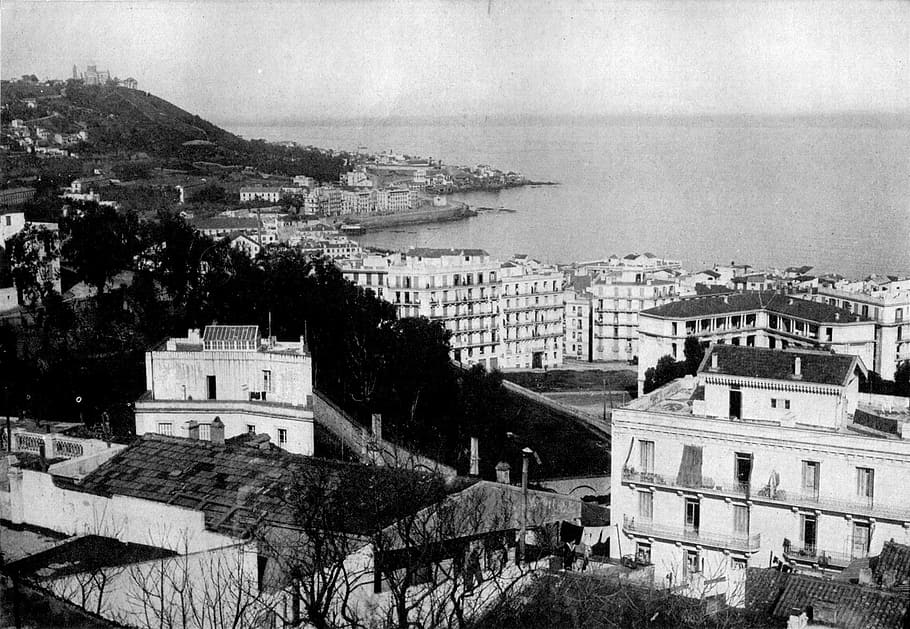 harbour, City, Algiers, Algeria, houses, public domain, vintage, black And White, visual Art, arts And Entertainment