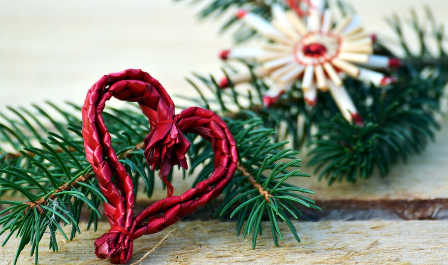 días festivos, adornos, el fondo, papel tapiz, tarjeta, navidad, árbol de navidad, ramitas, decoración, asterisco