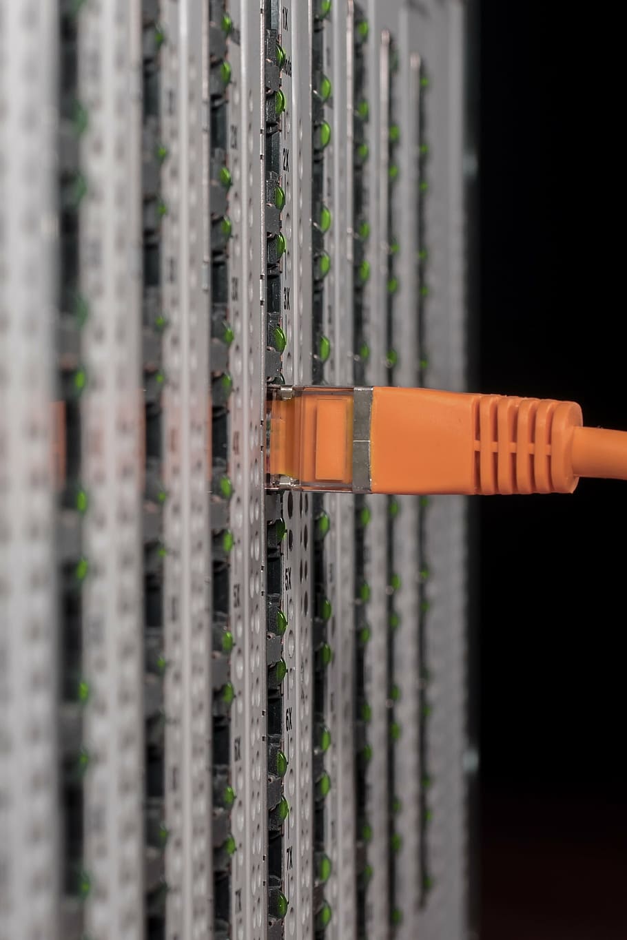orange, utp cable, close-up photography, server, server cabinet, network, cable, patch cable, network cables, rj45