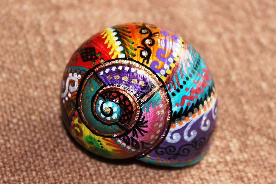 closeup, painted, shell, teal, purple, red, brown, color, snail shell, surface