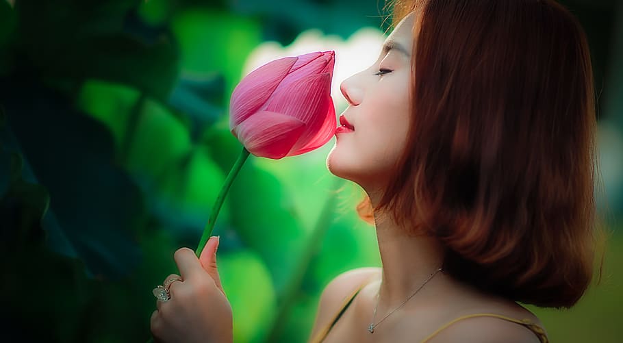 selective, focus photography, woman, holding, smelling, pink, petal flower, selective focus, photography, petal