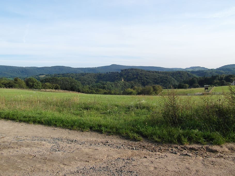 Odenwald, Landscape, Hill, Background, sky, gentle, green, september, hiking, view