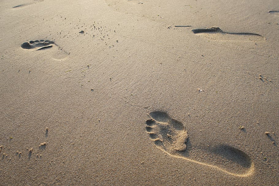 footprint on sand, sand, beach, foot, footprint, sea, nature, feet, print, footsteps
