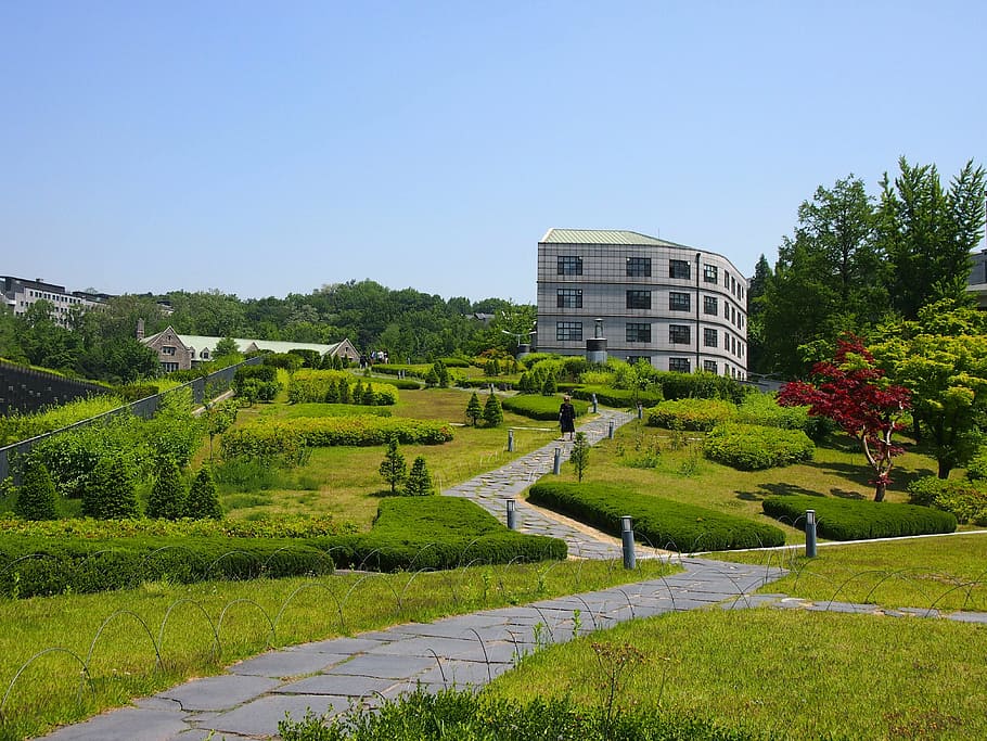 University Ewha Building Architecure Park Garden Ewha Womans