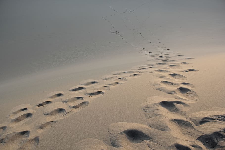 Desert, Morning, Sand, foot mark, feet prints, beach, outdoors, footprint, sea, land