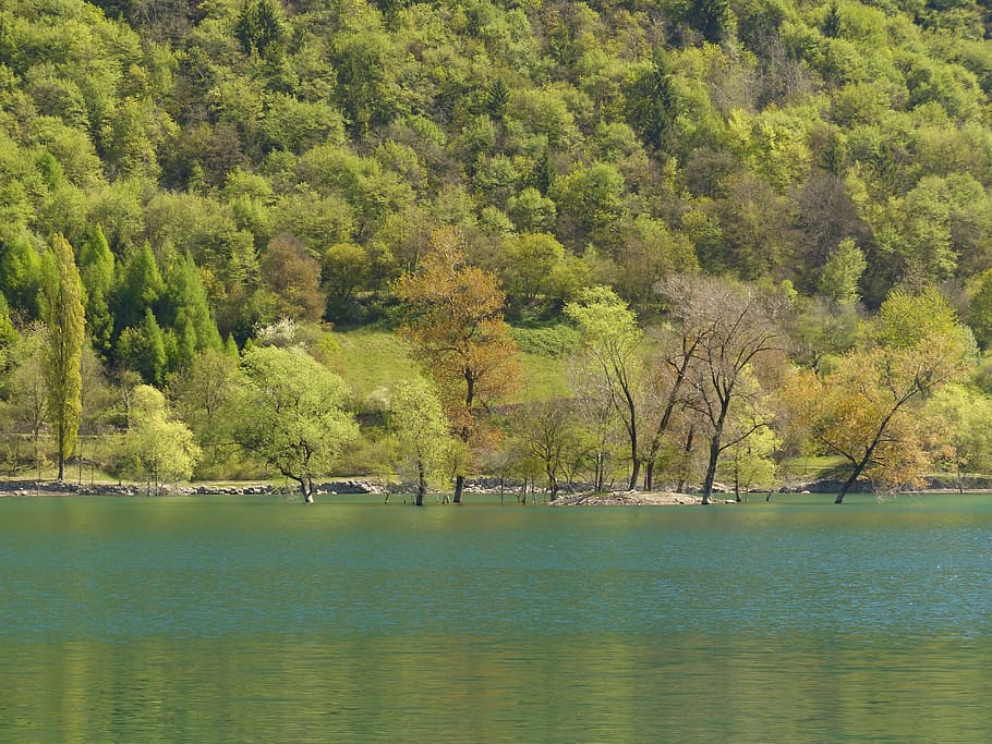 Lago Tenno, Aguas, Italia, lago, paisaje, naturaleza, árbol, bosque, agua, pintorescos