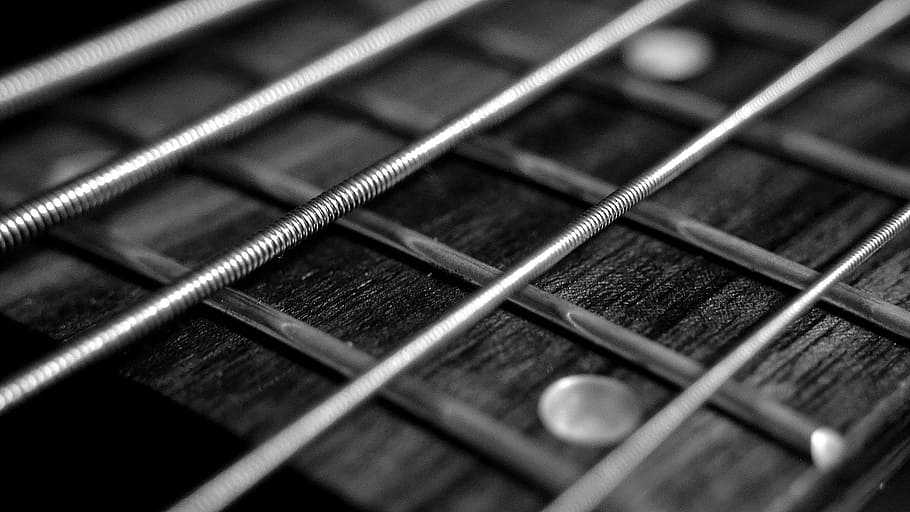 grayscale photo, guitar strings, string, bass, guitar, music, rock, sound, instrument, band