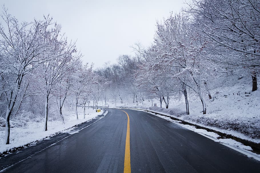 road, snow, winter, wood, lane, scenery, nature, asphalt, ice, travel