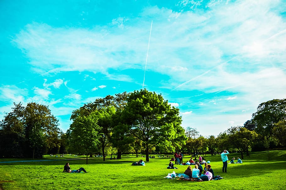 人々, 座っている, 歩く, 公園, 昼間, イギリス, ロンドン, セントジェームズパーク, 空, 木材
