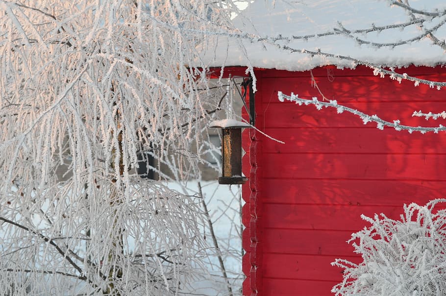 winter, snow, garden hut, december, snowy branches, shrub, winter landscape, garden, feeder birds, cold temperature