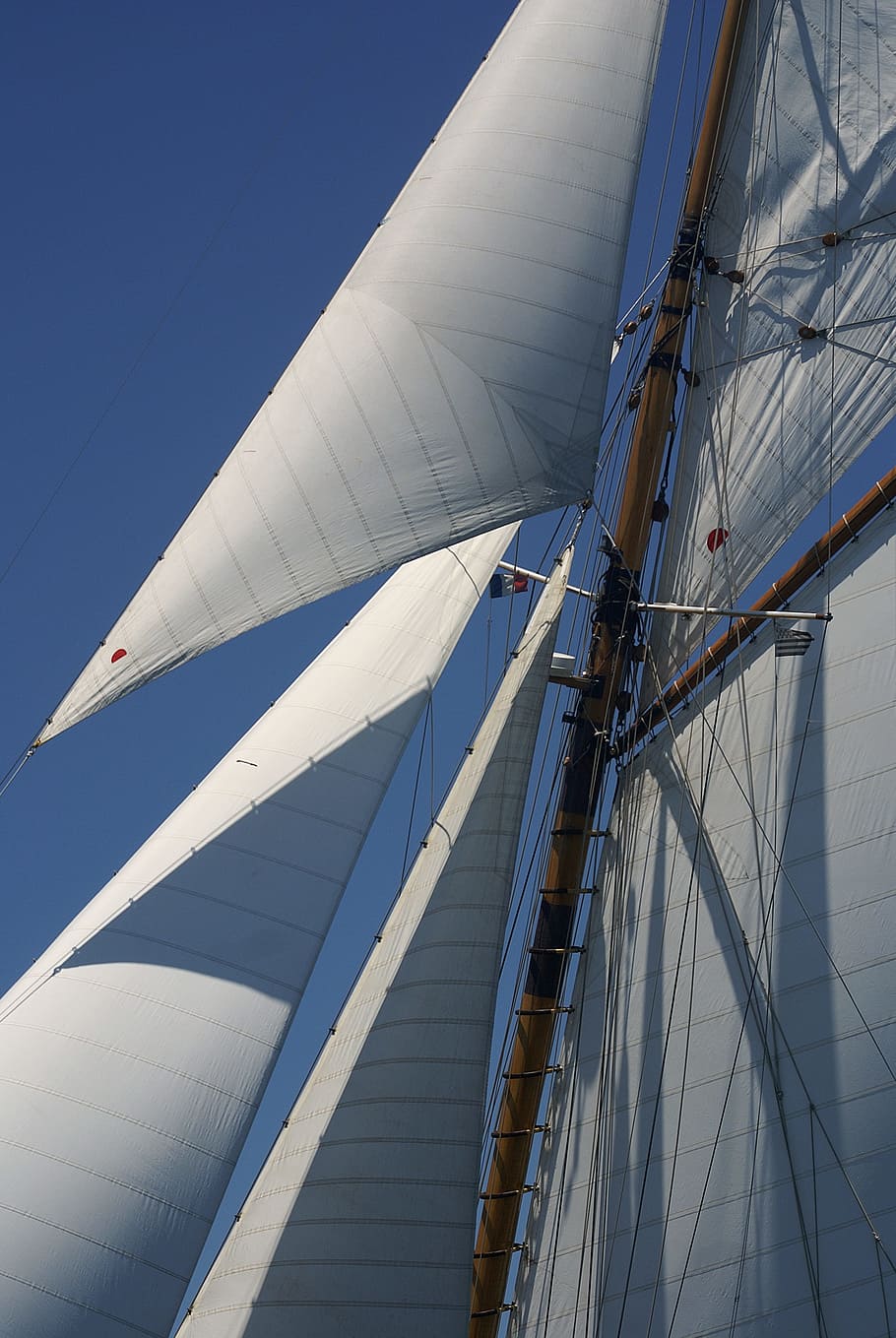 Sails, Sailboats, Boat, nautical vessel, sailboat, sailing ship, sailing, mast, rigging, transportation