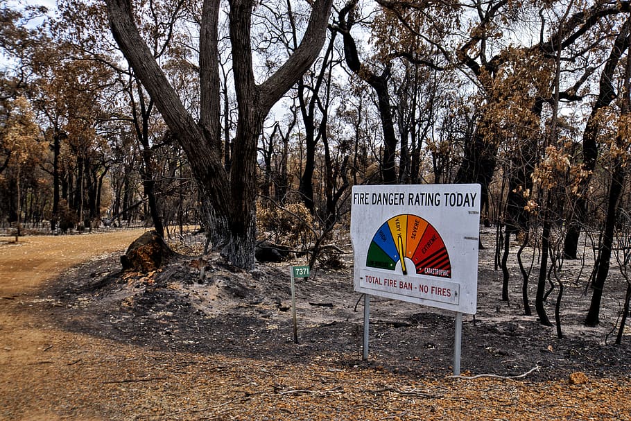 bushfire, sign, burnt, australia, trees, warning, destruction, ash, trunks, leaves