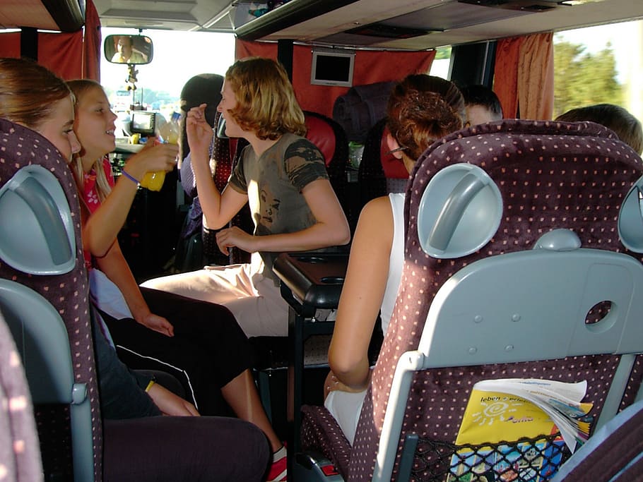 grupo, chicas, sentado, adentro, autobús, hablando, niños, niña, colegiala, viaje en autobús