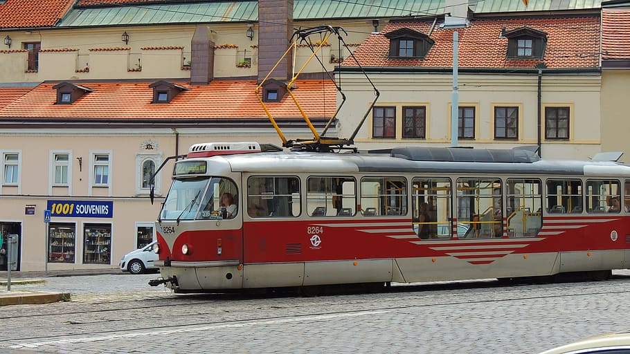 Rojo, blanco, autobús, Praga, tranvía, ciudad, checo, calle, urbano, viajes