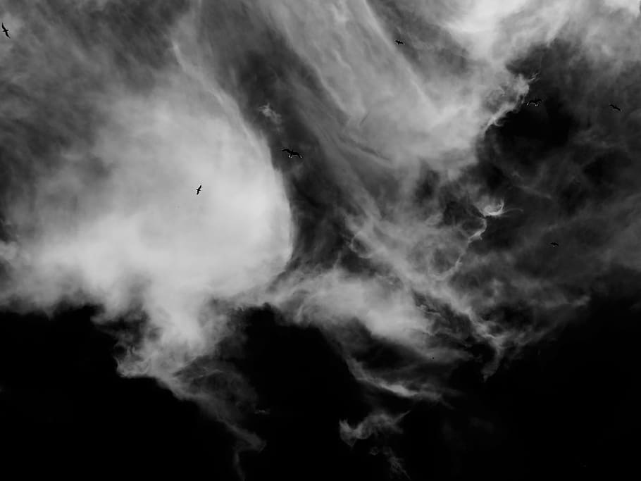 sky, clouds, birds, gulls, nature, black And White, cloud - Sky, smoke - physical structure, abstract, black background